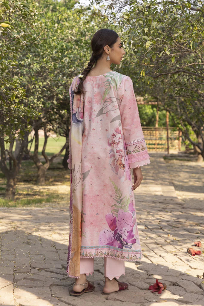 AABYAAN PRINTS '23 | ELMAS ()AP-04)
