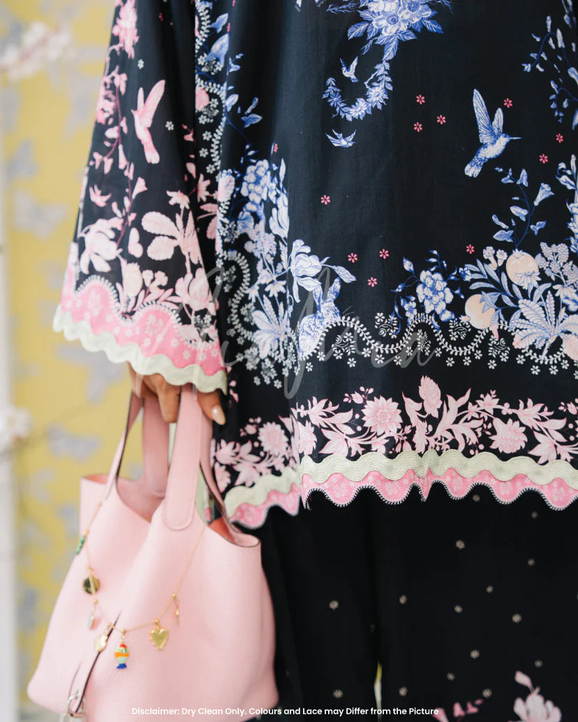 STARRY
