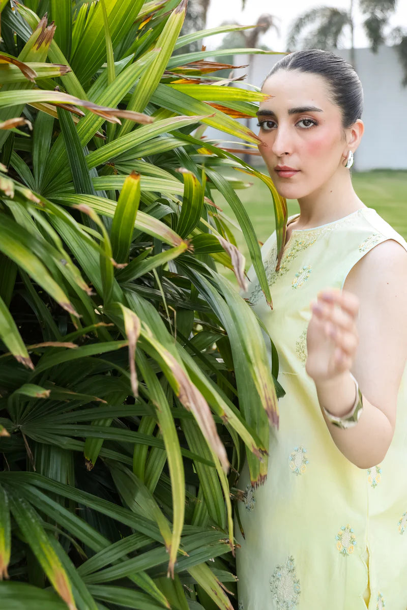 LIME YELLOW LUXURY EMBROIDERED 2PCS SET (NPA2-25304)