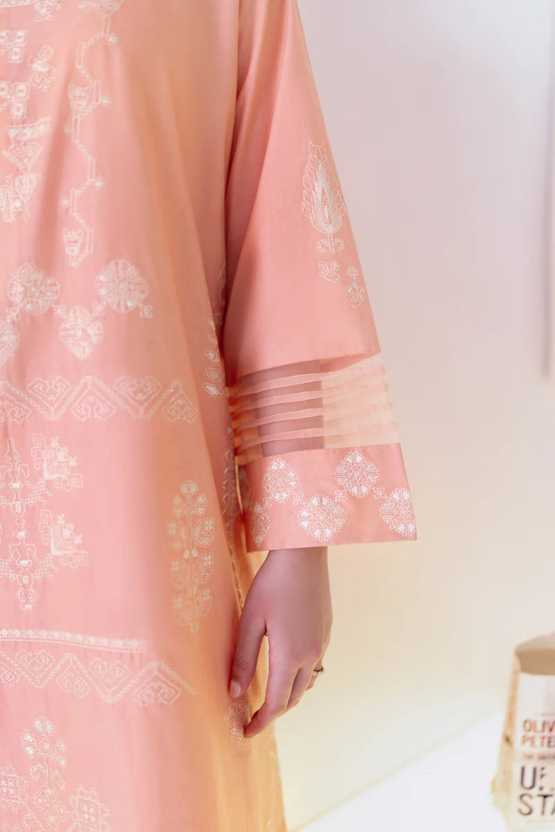 PEACHY PINK LUXURY EMBROIDERED 2PCS SET (NPA2-25306)