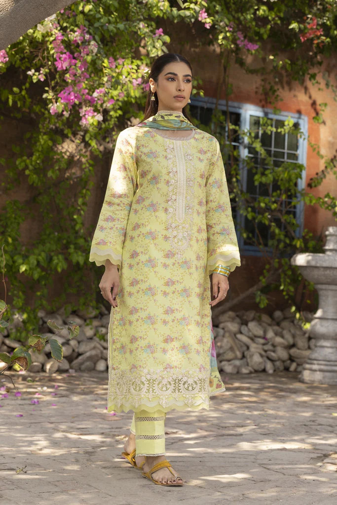 AABYAN PRINTS '23 | ALYARA (AP-10)