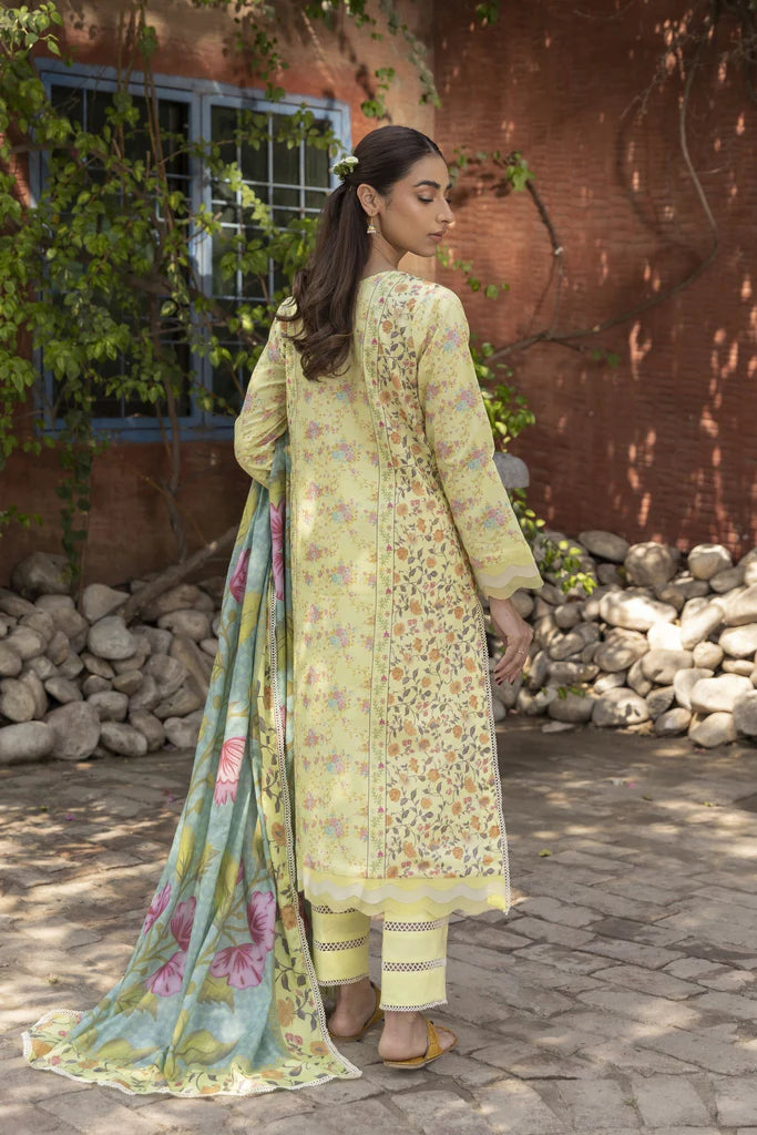 AABYAN PRINTS '23 | ALYARA (AP-10)