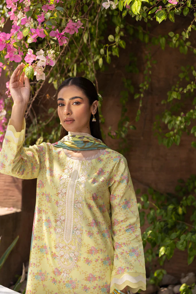 AABYAN PRINTS '23 | ALYARA (AP-10)