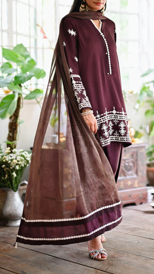 RAYNA KURTA & SHALWAR