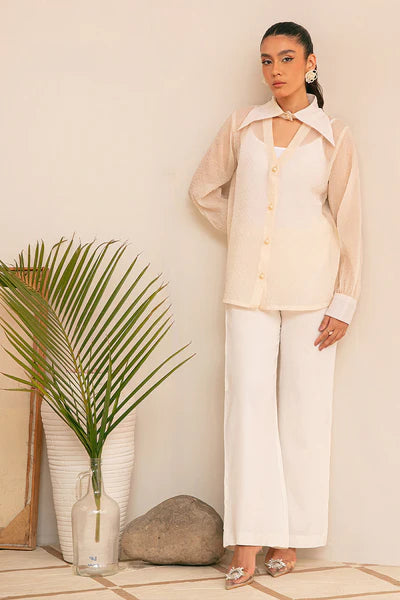 VANYA L'AUTOMNE 23 | WS 49