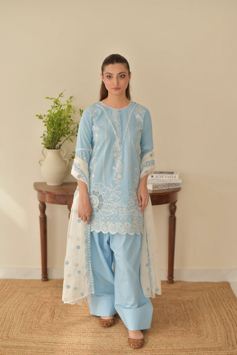 ALISHA SET