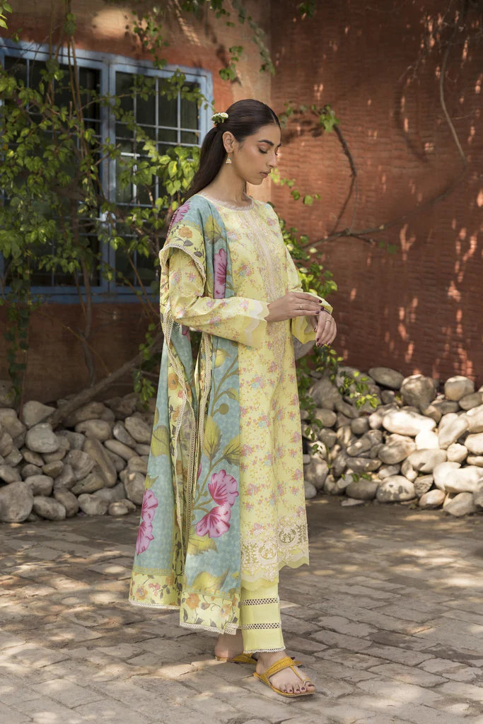 AABYAN PRINTS '23 | ALYARA (AP-10)