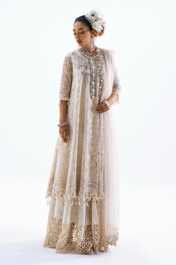 SANA SAFINAZ NURA FESTIVE '23 | N231-003-CT